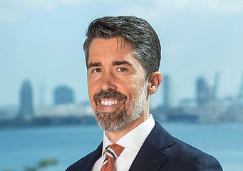 Fernando J. Menendez Jr.
